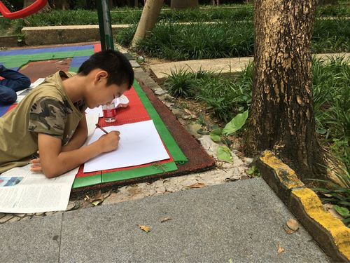 小学生拿着马克笔在小区路牌边观察记录的日常场景