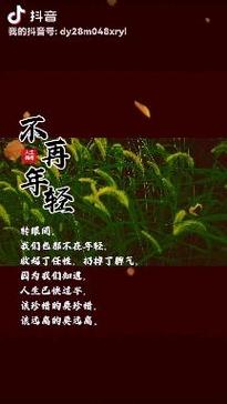别把“年轻”当成一个统一的标签
