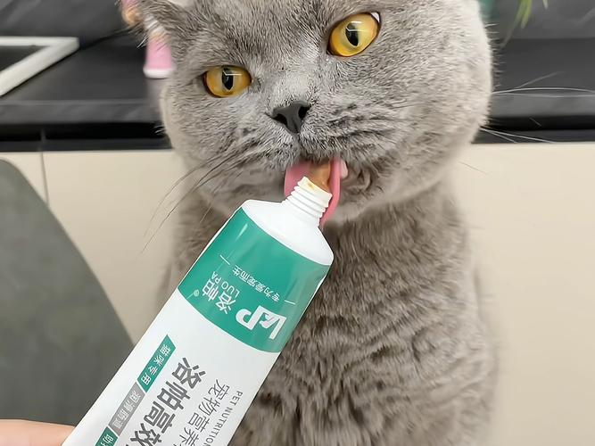 比瞎喂化毛膏有用10倍的防毛球操作