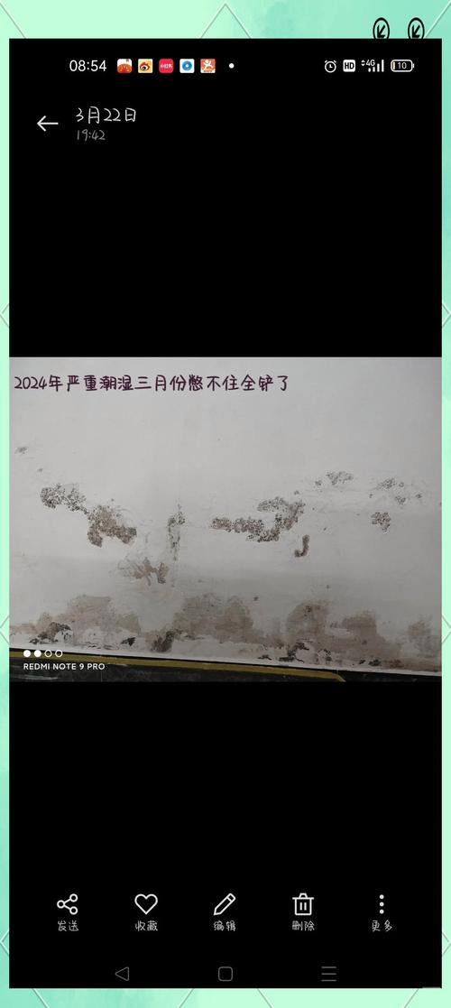 储物间防潮方案:我家的血泪史和几招真正管用的办法-仁者医