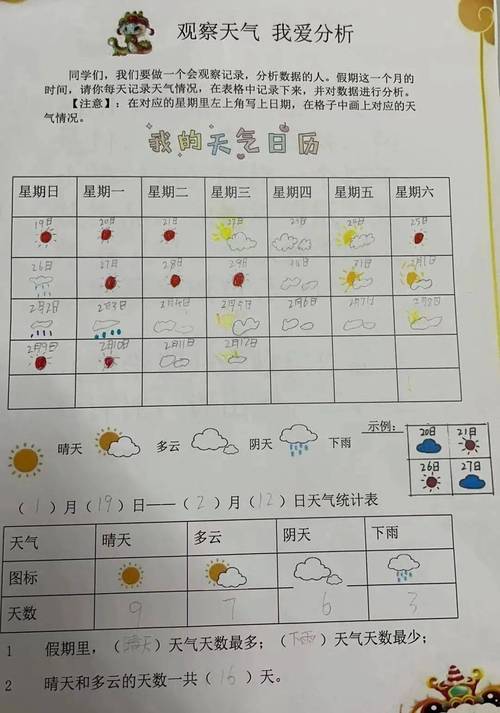 中小学生户外观察sunny天气实践记录表