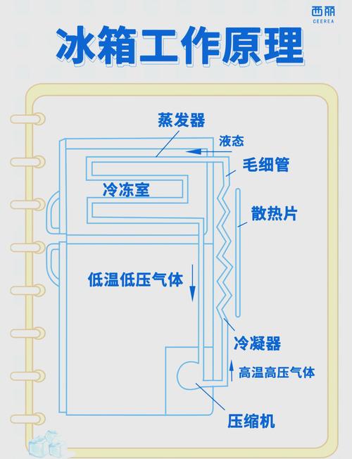 冰箱冷冻室冷气循环示意图