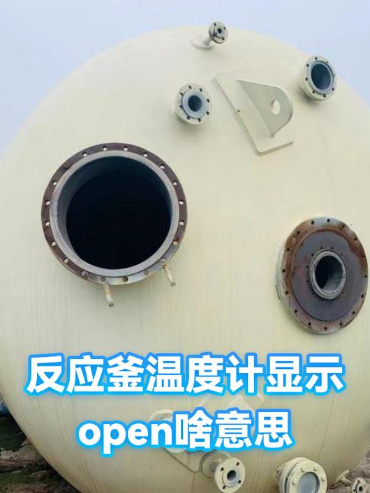 工业反应釜防腐温度计安装示意图