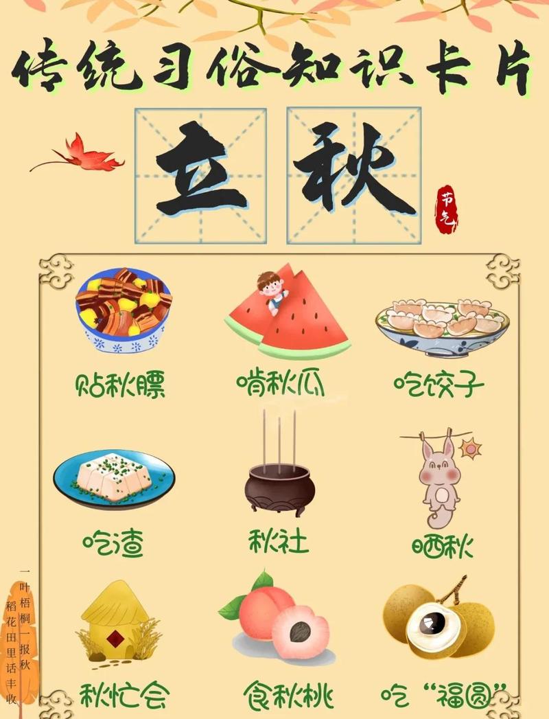 来赶秋收的实用贴士