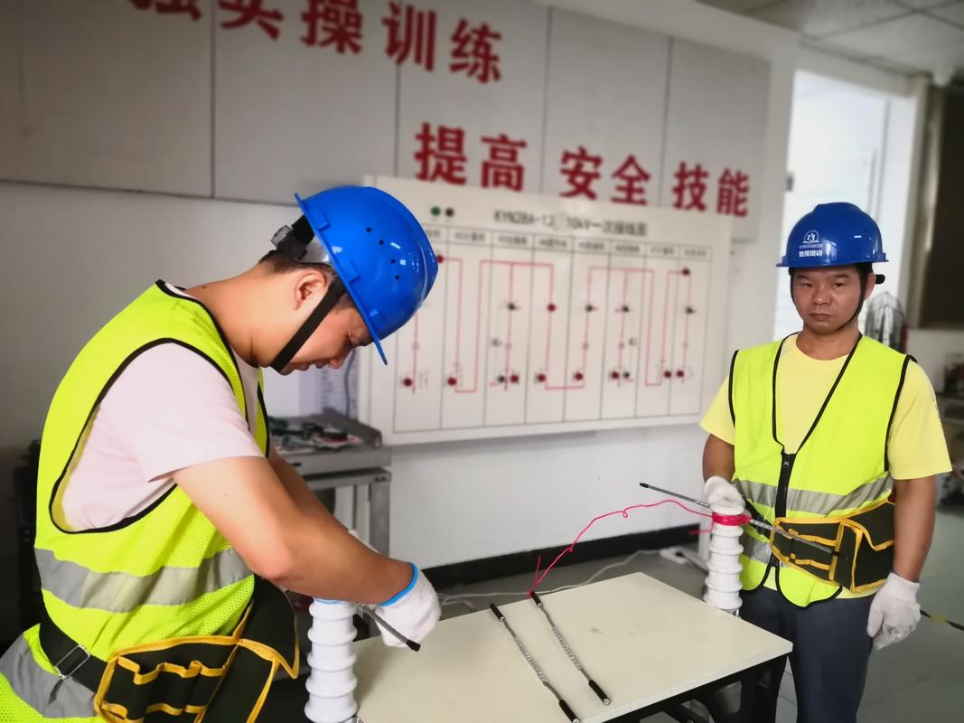 特种作业操作证实操考试高压电工作业现场