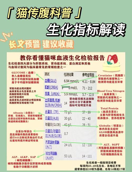猫传腹确诊生化指标对比化验单