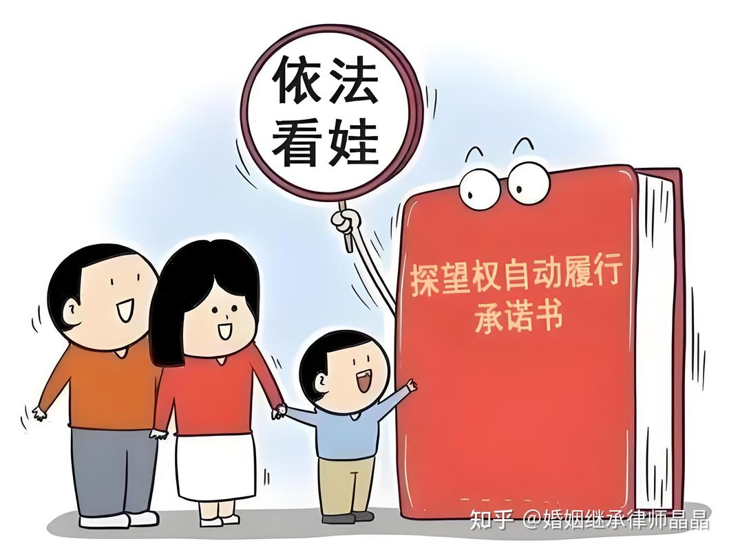 探望权的法律画像