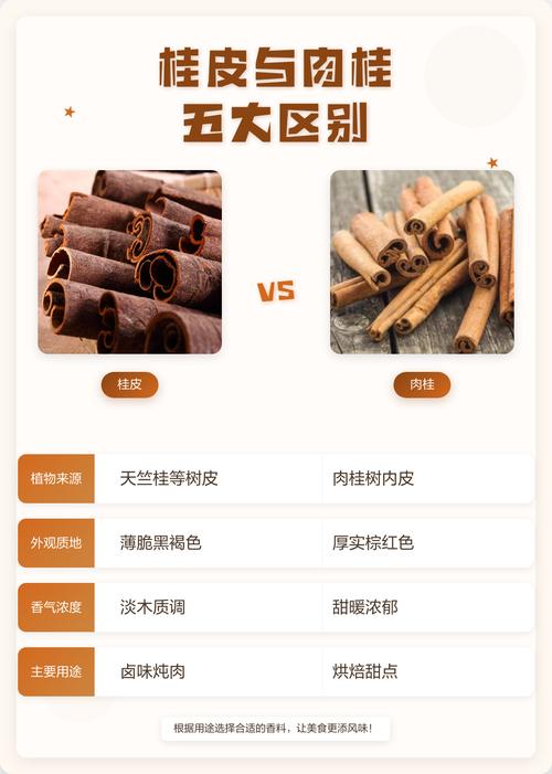 肉桂：你手里的真是肉桂？还是树皮在装蒜？-因为所以
