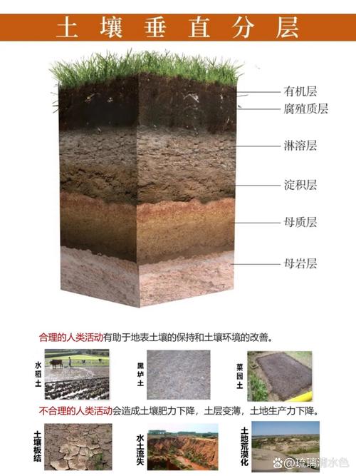 地基土壤类型鉴别示意图黏土沙土回填土