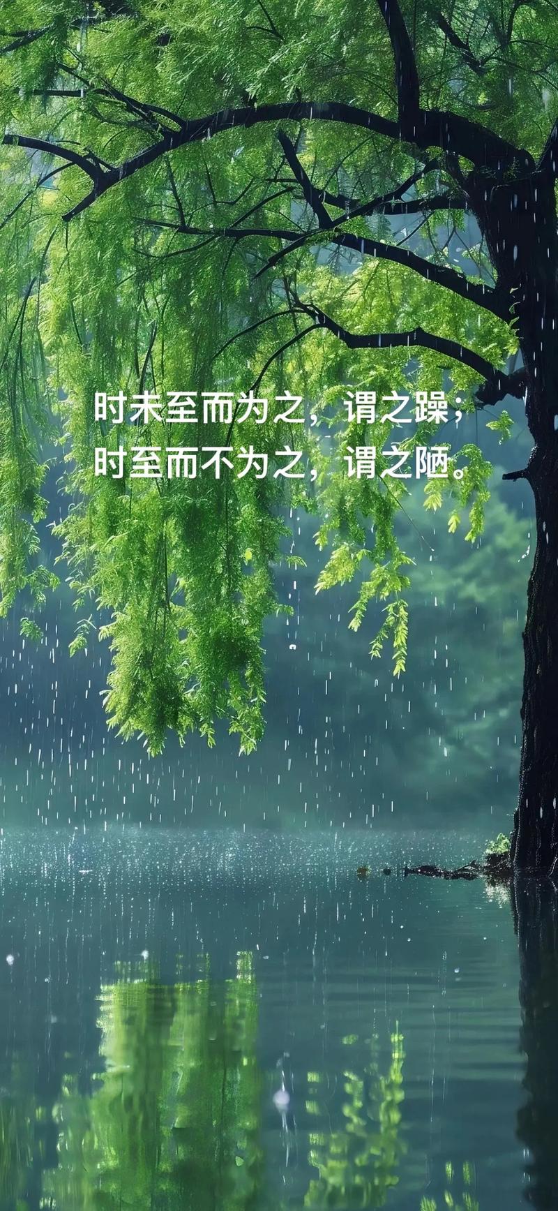 不同人,时机本来就不一样