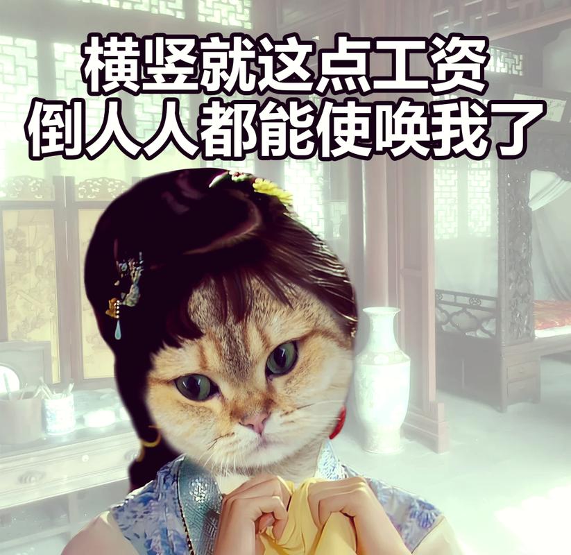 直接就业就是没出息？错！技能型人才正吃香