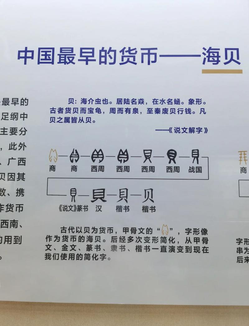 从货币到神明:贝壳的变形记