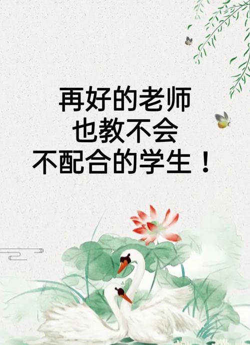 为什么学校里不教这个？