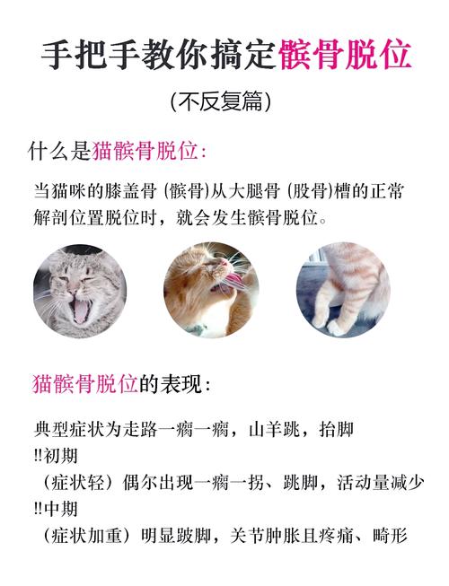 临床猫髌骨脱位症状分级对照表