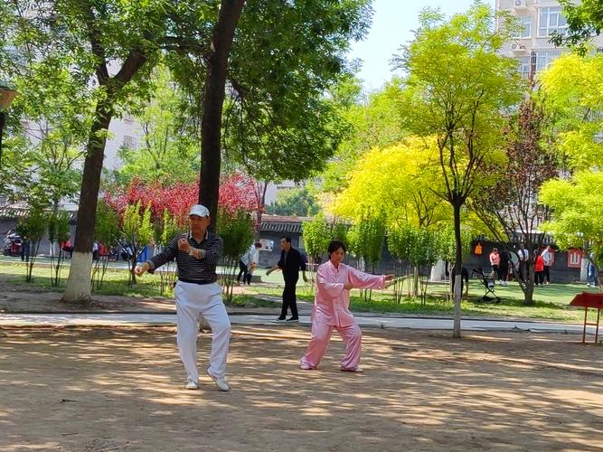 清晨公园散步骨骼养护日常场景
