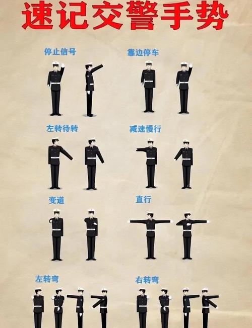 驾驶等红灯期间肩部放松动作示意图