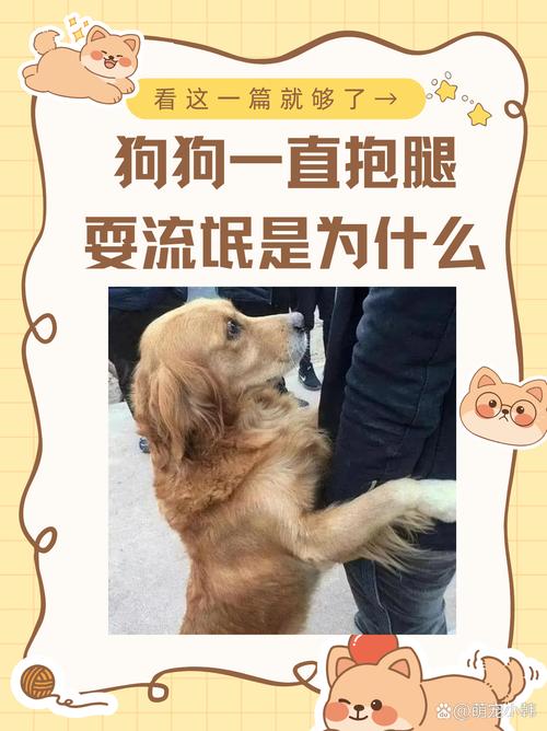 发现不对劲，别上来就给狗揉胯