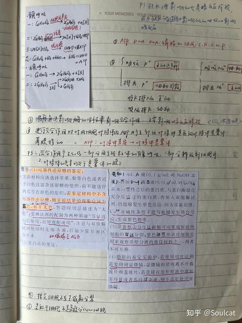 高中生错误工整抄书式知识归纳本