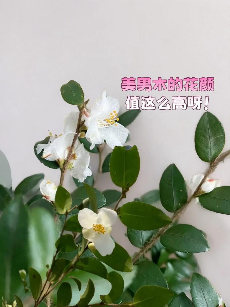 花半小时收拾一次，够用大半个月