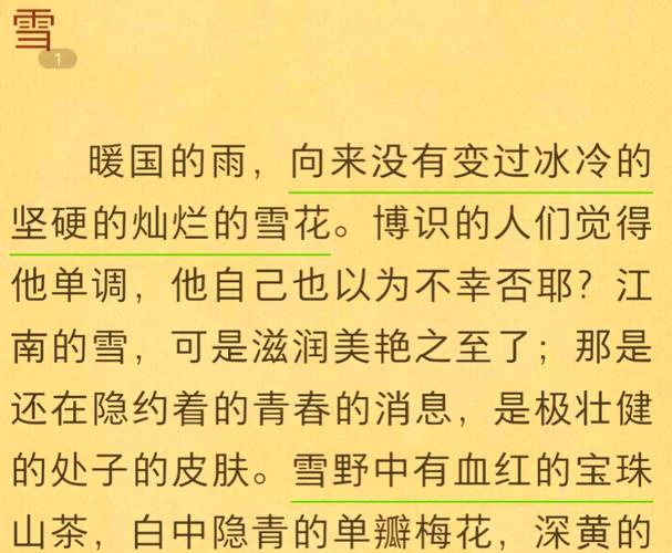 作为隐喻的雪