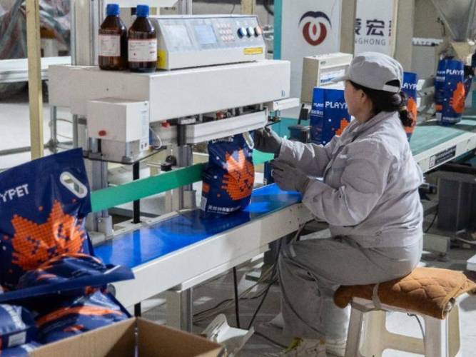 宠物友好工厂焊接工位防尘隔离与猫砂区安全改造实景