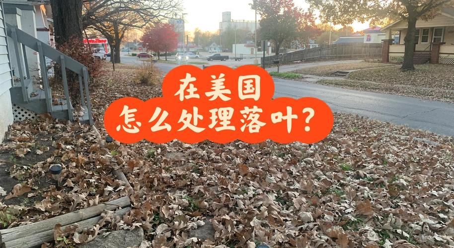 🍃 环保与验收，入住前的最后关卡