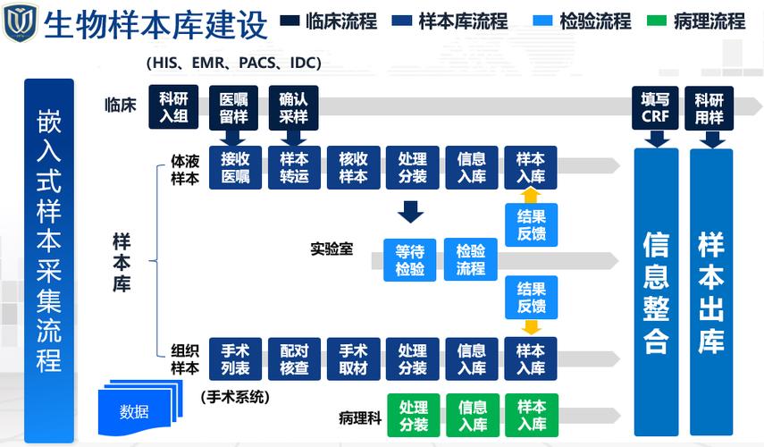 医疗品牌结构化数字资产库构建流程图