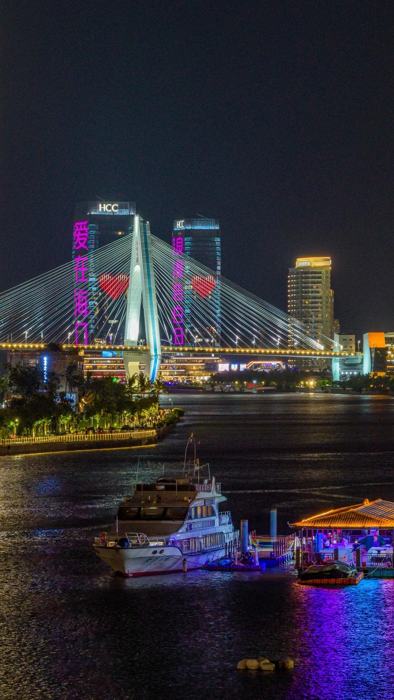 世纪大桥夜景