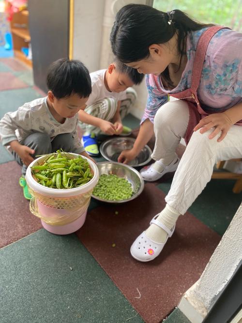 两岁宝宝帮妈妈摘菜做早教游戏场景