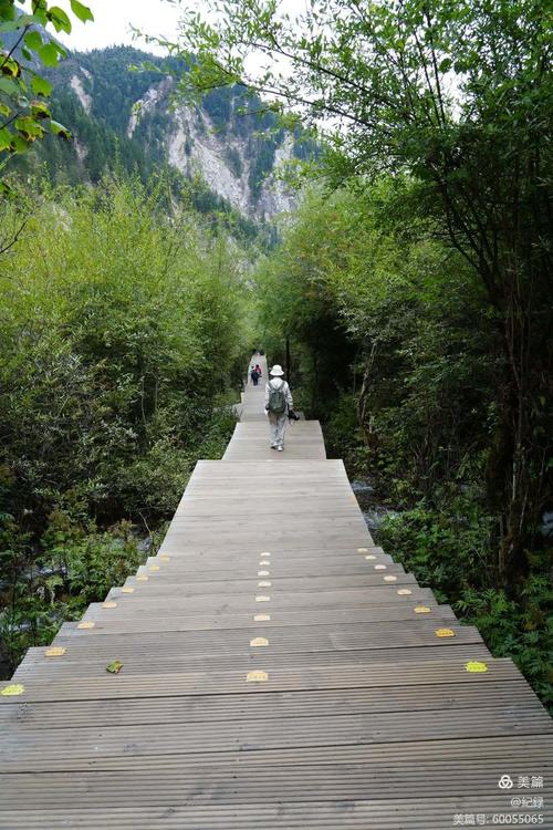 九寨沟栈道台阶