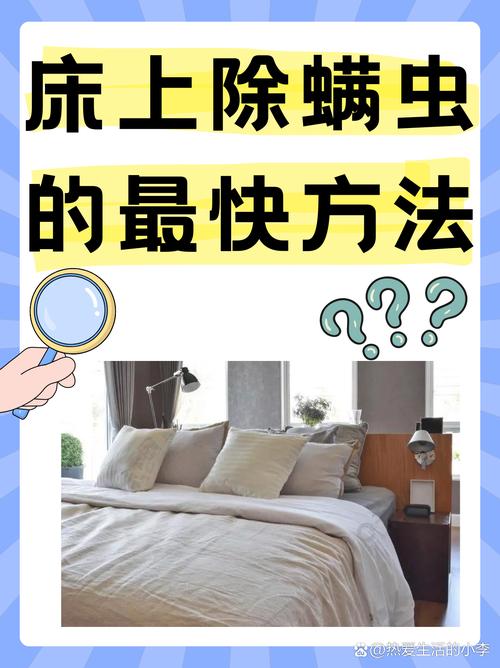 螨虫的“舒适区”比你想象的更贴近生活