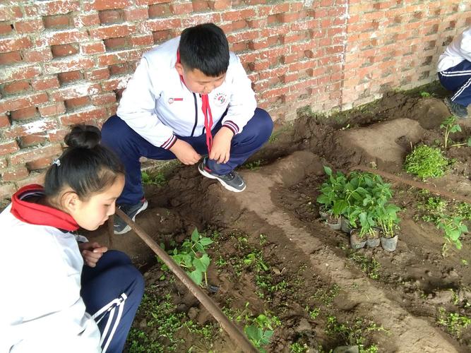 中学生抱编织袋土壤站校园走廊