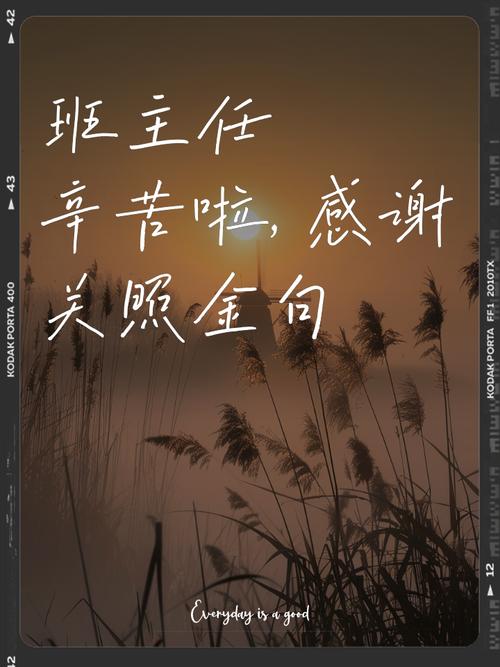 班主任的