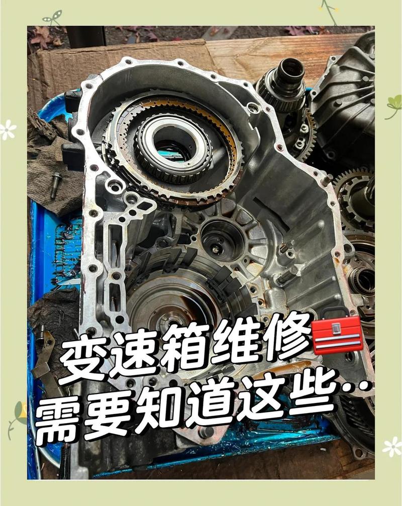 真轮到变速箱问题,怎么修不被宰