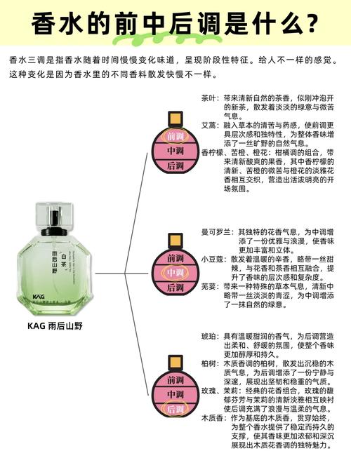 香水前中后调时间变化示意图