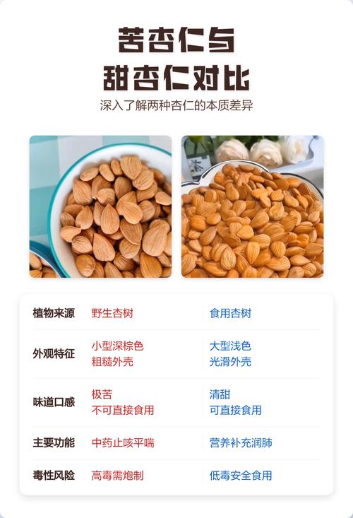 苦杏仁与甜杏仁外观对比图