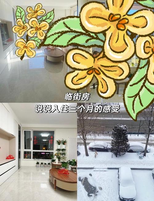 入住三个月，说说真实使用感受和建议