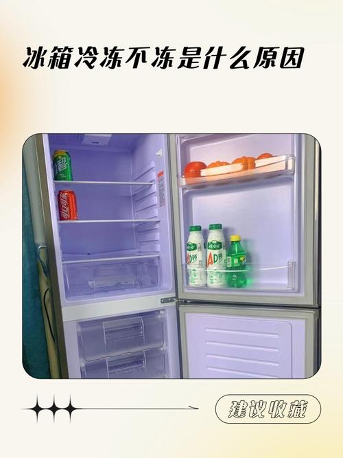 你以为的“冷冻”不是你想的那种冷冻