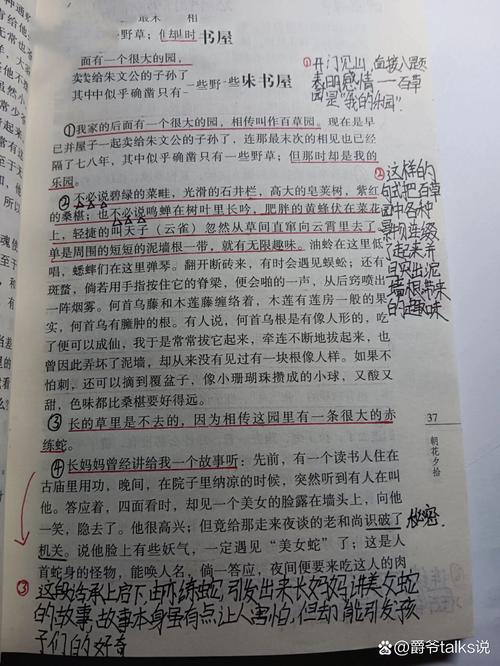 中学图书馆角落学生画满批注的课本