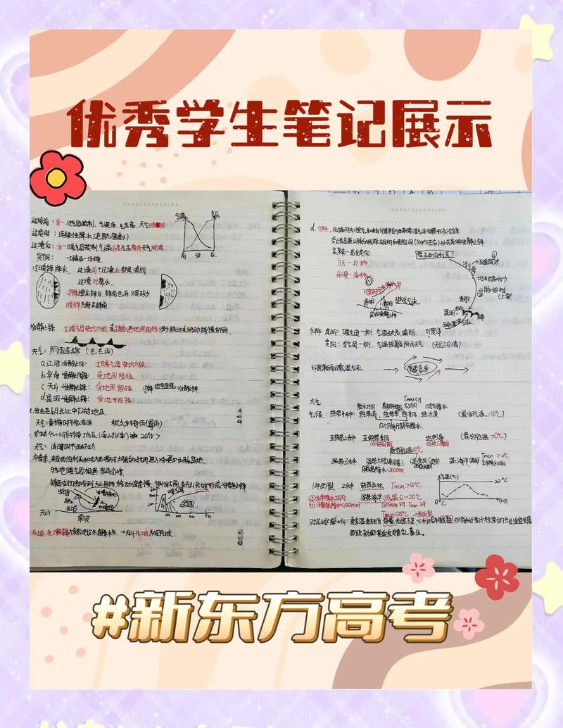 高三考生升学规划手写整理笔记
