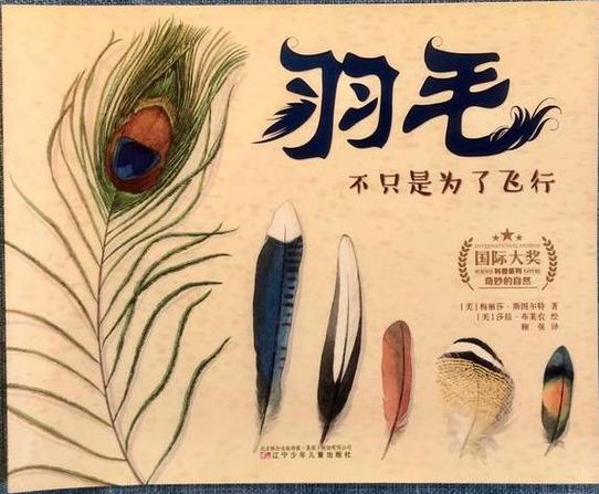 那身羽毛,不仅仅是为了好看