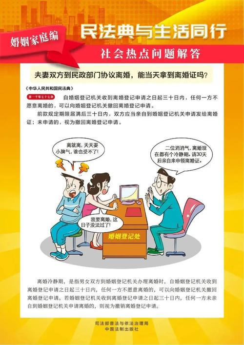婚姻家庭编:爱恨交织