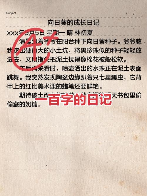 视频日记的隐藏价值：不仅记录，更是发现