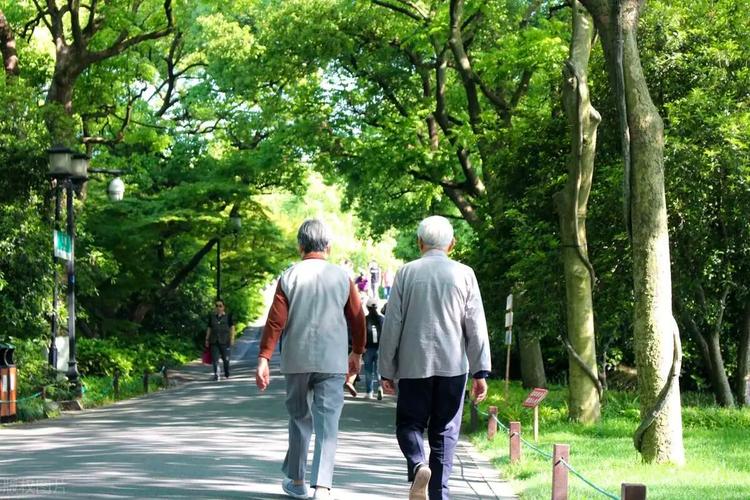 城市公园老年人慢走放松实拍图