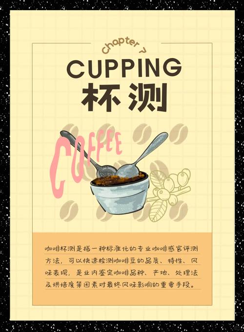 杯测,真的不是装X