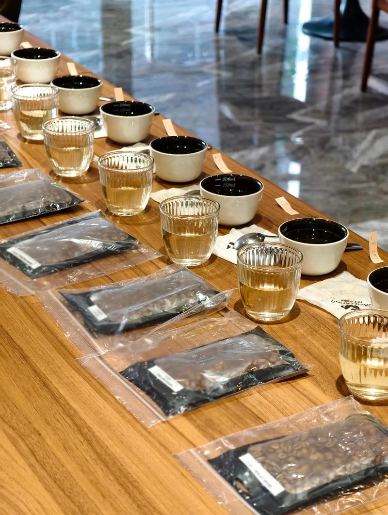 咖啡杯测会上参与者认真闻香的场景