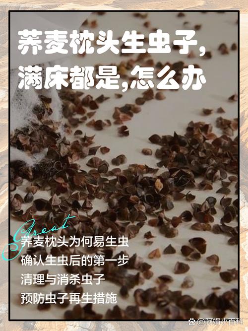 今天就能做的3件事，别等虫爬到你枕头上才想起