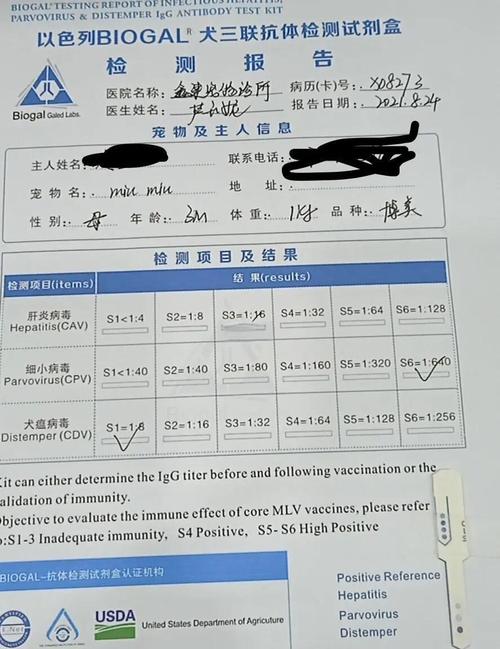幼犬免疫后抗体检测报告实拍
