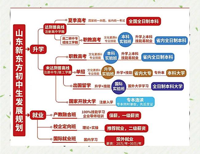 升学就业如何布局?