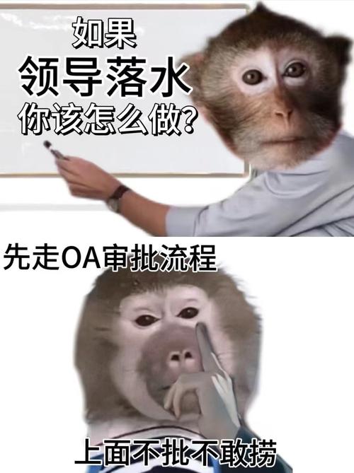 企业为什么招见习生?这里面水很深